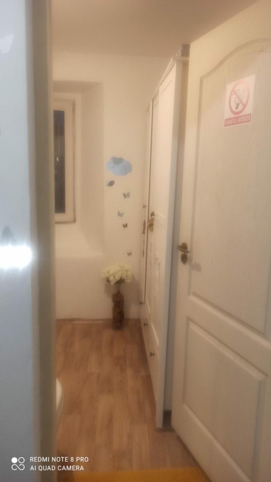 Studio Pe Somes Cluj-Napoca Eksteriør billede